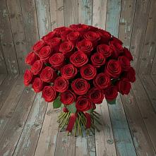 Букет 55 Красных роз Фридом #REPLACE_PRED# Светлом Яре