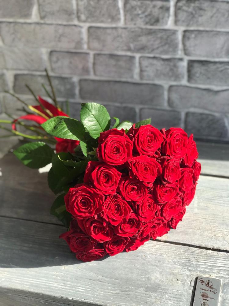 Букет Красные розы Фридом в Светлом Яре