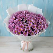 Букет цветов из:  Хризантемы в Светлом Яре