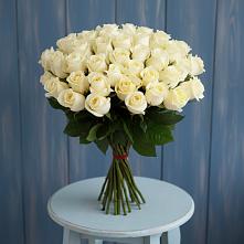 Букет 51 Белая роза Эдлесс Лав #REPLACE_PRED# Светлом Яре