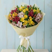 Букет цветов из:  Альстромерии в Светлом Яре